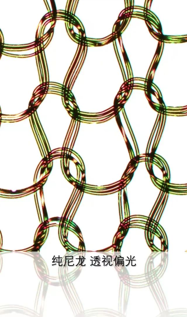 南川蔡司共聚焦显微镜
