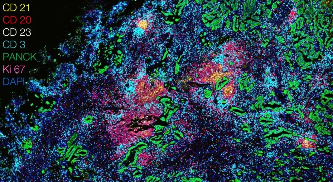 南川南川蔡司显微镜