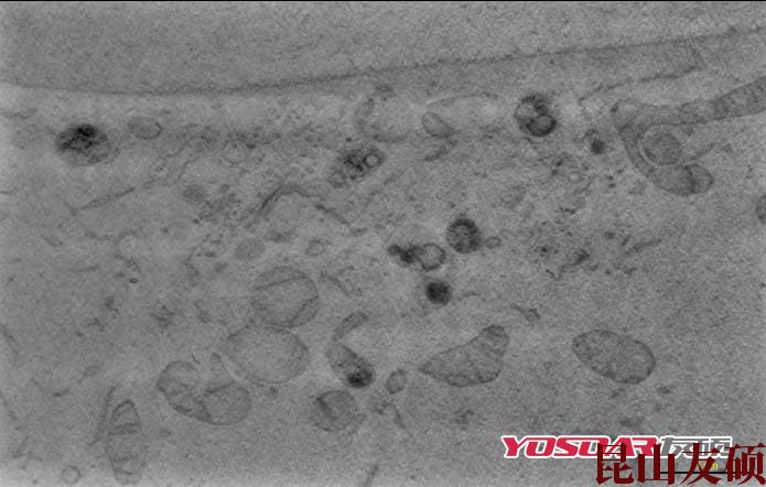 南川蔡司双束电镜