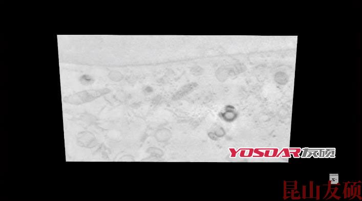 FIB南川扫描电镜