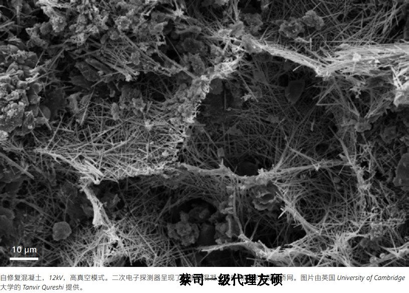 南川南川蔡司南川扫描电镜