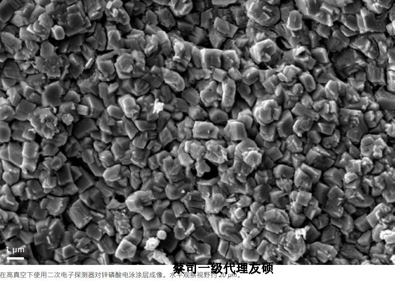 南川南川蔡司南川扫描电镜