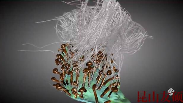 南川蔡司南川X射线显微镜